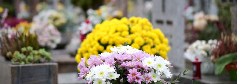 Fleurs cimetière