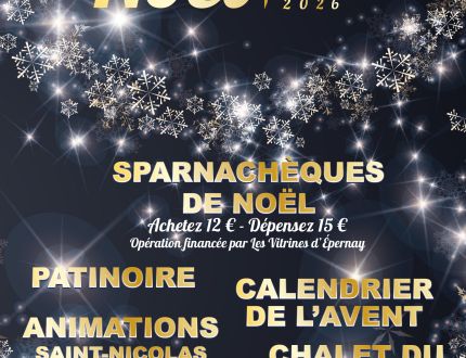 Féeries de Noël 2025