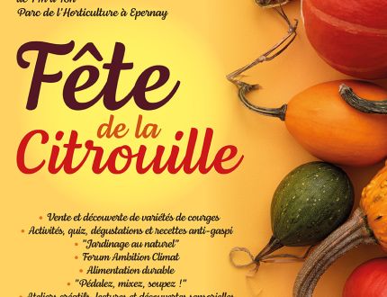 Affiche Fête de la Citrouille