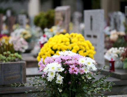 Fleurs cimetière