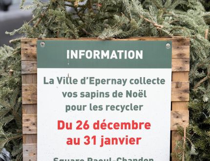 Collecte de sapins - square Raoul-Chandon