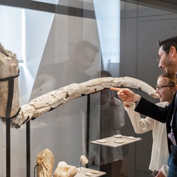 Atelier famille “Mammouth académie”