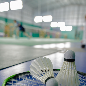 Badminton