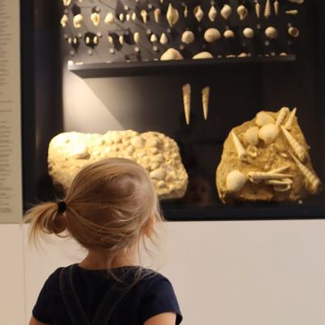 Muséobébé - enfant au musée