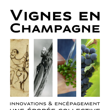 Exposition Vignes en Champagne