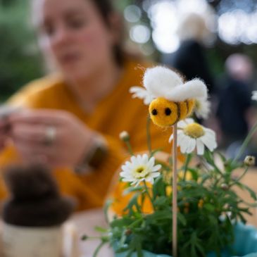 Fête de l'abeille Epernay - 2023