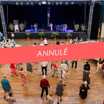 annulation seniors musique