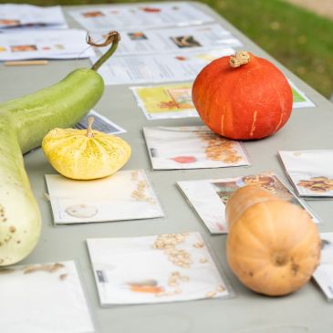 Fête de la Citrouille