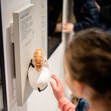 photo musée