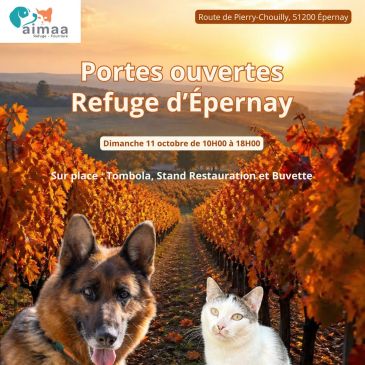 Portes ouvertes refuge d'Epernay 2026