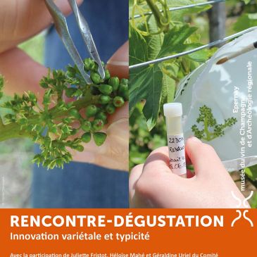 Rencontre-dégustation « Innovation variétale et typicité »