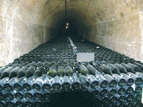 Bouteilles de Champagne stockées dans une cave