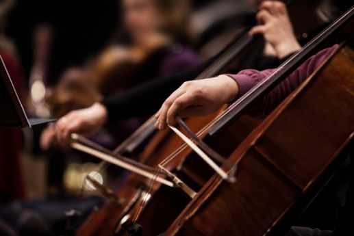 instrument bois violoncelle