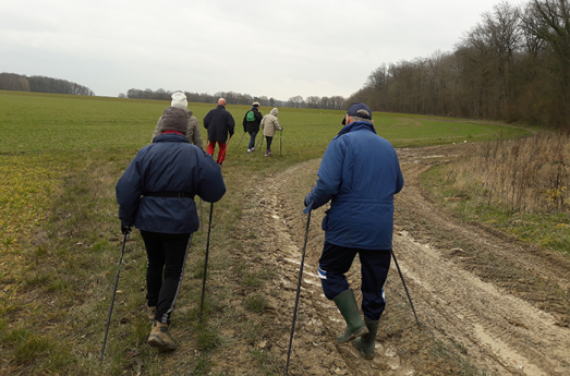 Les "Rendez-vous du senior actif : marche nordique en avril 2016