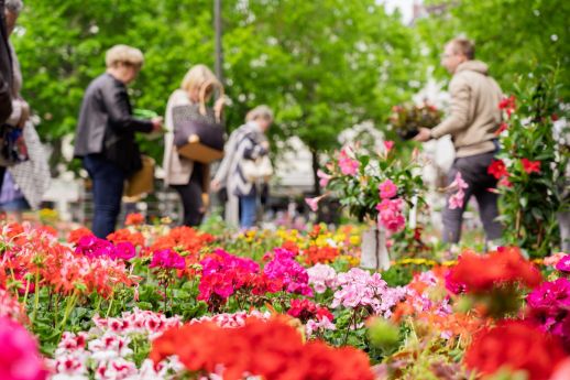 Marché aux fleurs d'Epernay