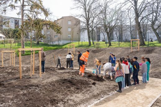 Ecole Vignes Blanches Epernay