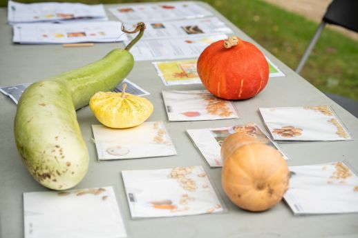 Fête de la Citrouille