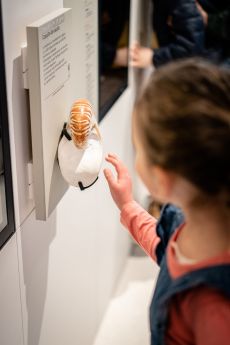 photo musée