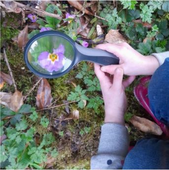 Atelier parents/enfants : Trésors de la nature