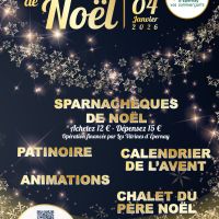 Affiche Féeries de Noël 2025