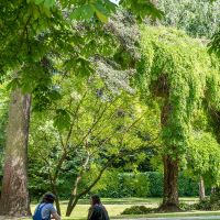 Jardin de l'Hôtel de Ville © Noémie Cozette - Ville d'Epernay