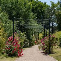 Coulée verte - Jardin de l'Horticulture © Noémie Cozette - Ville d'Epernay