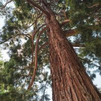 Jardin de l'Horticulture © Noémie Cozette - Ville d'Epernay