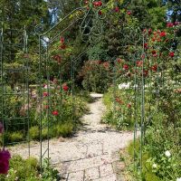 Roseraie - Jardin de l'Horticulture © Noémie Cozette - Ville d'Epernay