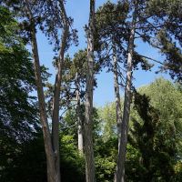 Jardin de l'Horticulture © Noémie Cozette - Ville d'Epernay