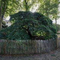 Jardin de l'Horticulture © Noémie Cozette - Ville d'Epernay