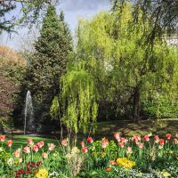 Jardin de l'Hôtel de Ville © Noémie Cozette - Ville d'Epernay