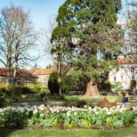 Jardin de l'Horticulture © Noémie Cozette - Ville d'Epernay