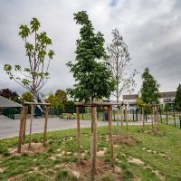 Ecole Belle-Noue © Ville d'Epernay - Noémie Cozette