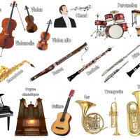 Instruments enseignés