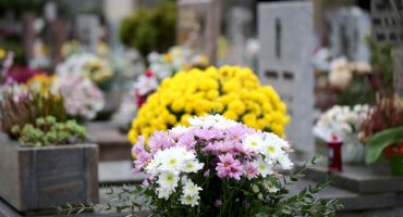 Fleurs cimetière
