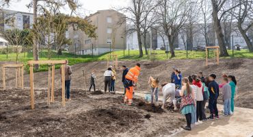 Ecole Vignes Blanches Epernay